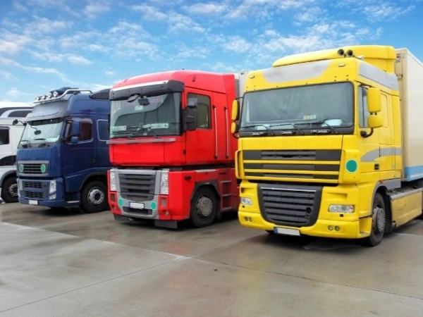 İzmir Balıklı Nakliye